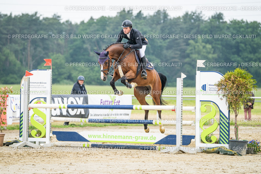 DSC00580 | Pferdegrafie