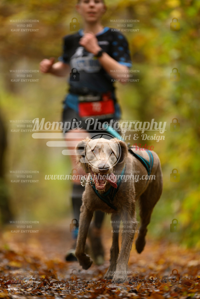 MompixPhotography_CD7S_DI_CCL-42 | mompixphotography