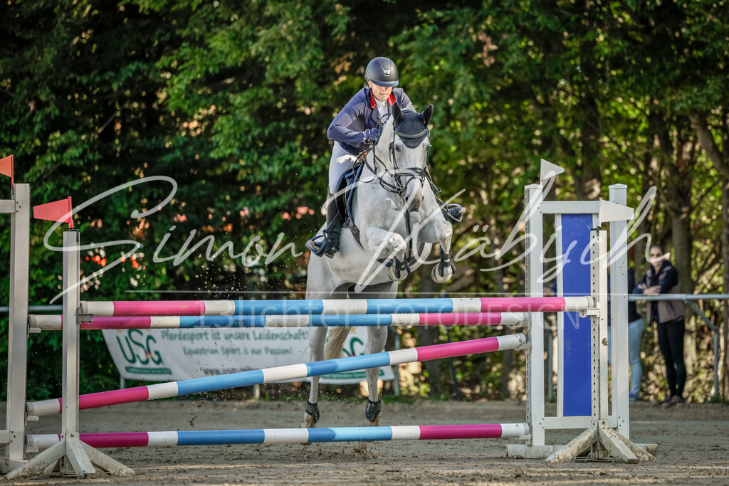 20250906-_3LI3129 | Tierfotografie Pferde, Hunde, Katzen, Haustiere.
Turnierfotografie Reitturniere, Reiten, Springreiten, Dressur in Hanau, dem Main-Kinzig-Kreis und dem Rhein-Main- Gebiet um Frankfurt