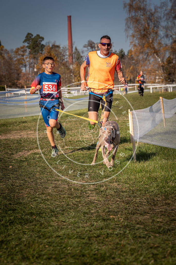 CaniXpix_0L8A7471 | Hundefotografie, Tierfotograf, Pfotenfotografie, Fotoshooting Hund, Hunde Portrait, Hundesport, Hundeportraits, Heideshooting, Hunde, Sportfotograf, Hundefotograf, Turnierhundsport, THS,  - Realisiert mit Pictrs.com