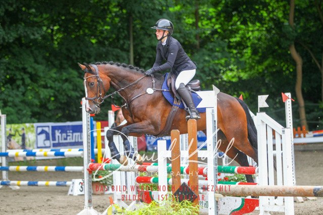DKP45025 | Turnierfotos kaufen im Webshop von Daniel Kuhl Photography – entdecke professionelle Reitsportfotos aus Turnieren & Events. Hochwertige Turnierbilder online bestellen & sichern. Jetzt Fotos von Reitsportturnieren kaufen!