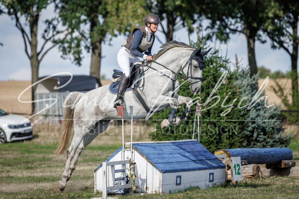 20260905-_3LI0073 | Tierfotografie Pferde, Hunde, Katzen, Haustiere.
Turnierfotografie Reitturniere, Reiten, Springreiten, Dressur in Hanau, dem Main-Kinzig-Kreis und dem Rhein-Main- Gebiet um Frankfurt