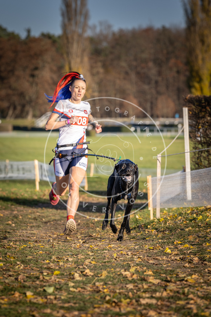 CaniXpix_DV3A1561 | Hundefotografie, Tierfotograf, Pfotenfotografie, Fotoshooting Hund, Hunde Portrait, Hundesport, Hundeportraits, Heideshooting, Hunde, Sportfotograf, Hundefotograf, Turnierhundsport, THS,  - Realisiert mit Pictrs.com