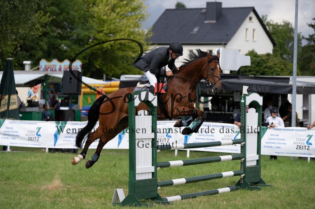 A7V03991 | Pferdefotograf