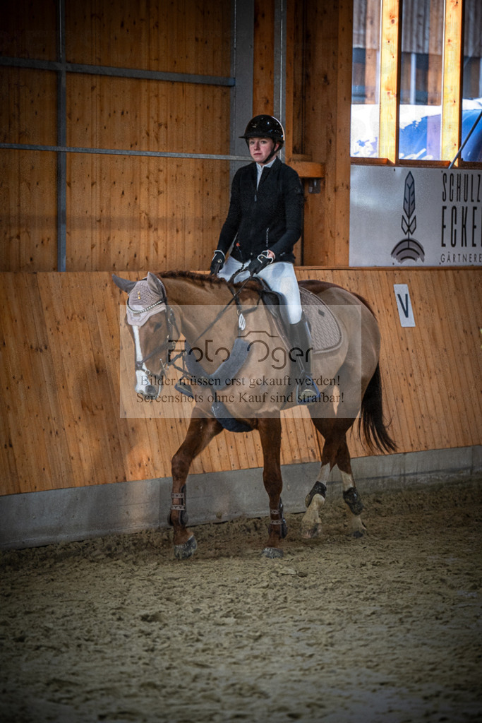 DOS_0838 | Entdecke hochwertige Reitturnierfotos von Foto Oger. Professionell, emotional und authentisch – jetzt Lieblingsmomente im Shop bestellen.Deutschlandweite Turnierfotografie. - Realisiert mit Pictrs.com