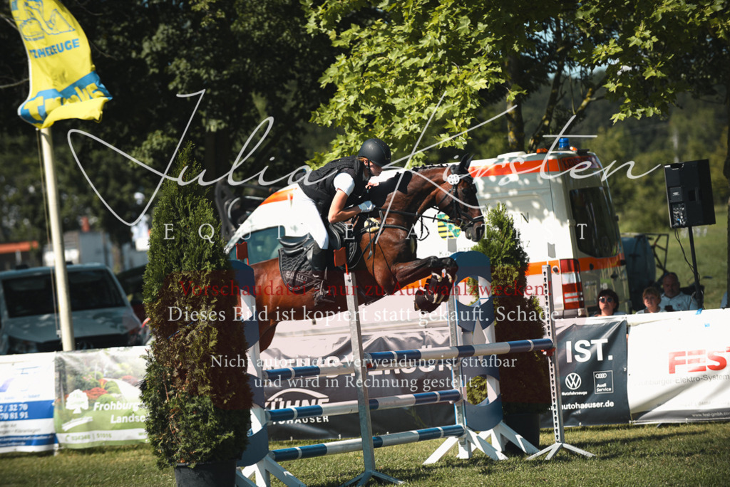 DSC_7198 | Pferde- und Turnierfotografie in Westsachsen. Pferdeportraits, Auftragszeichnungen und intuitive Kunst.
