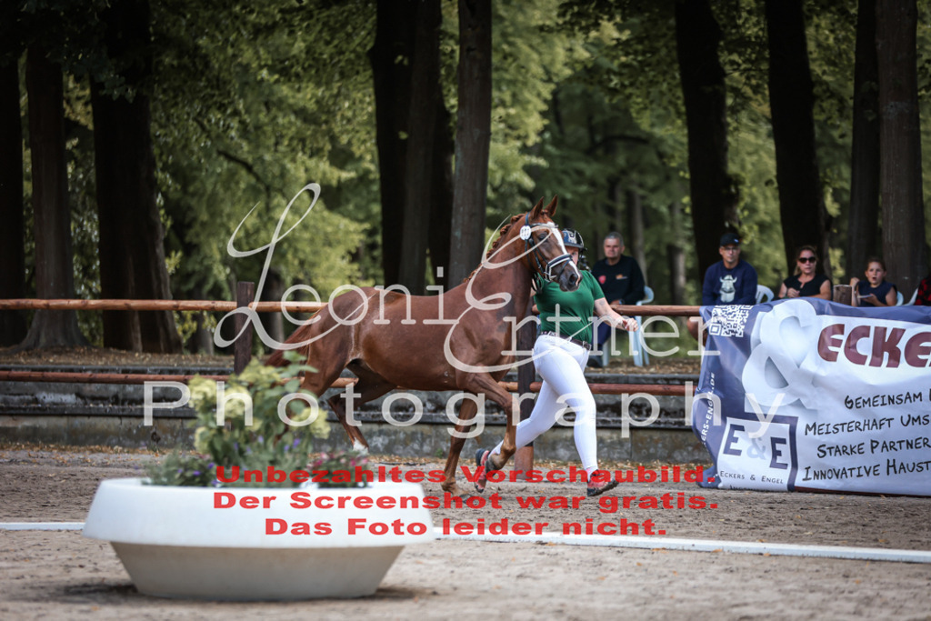 SoER00012 | Leoni Ertmer Photography - Realisiert mit Pictrs.com