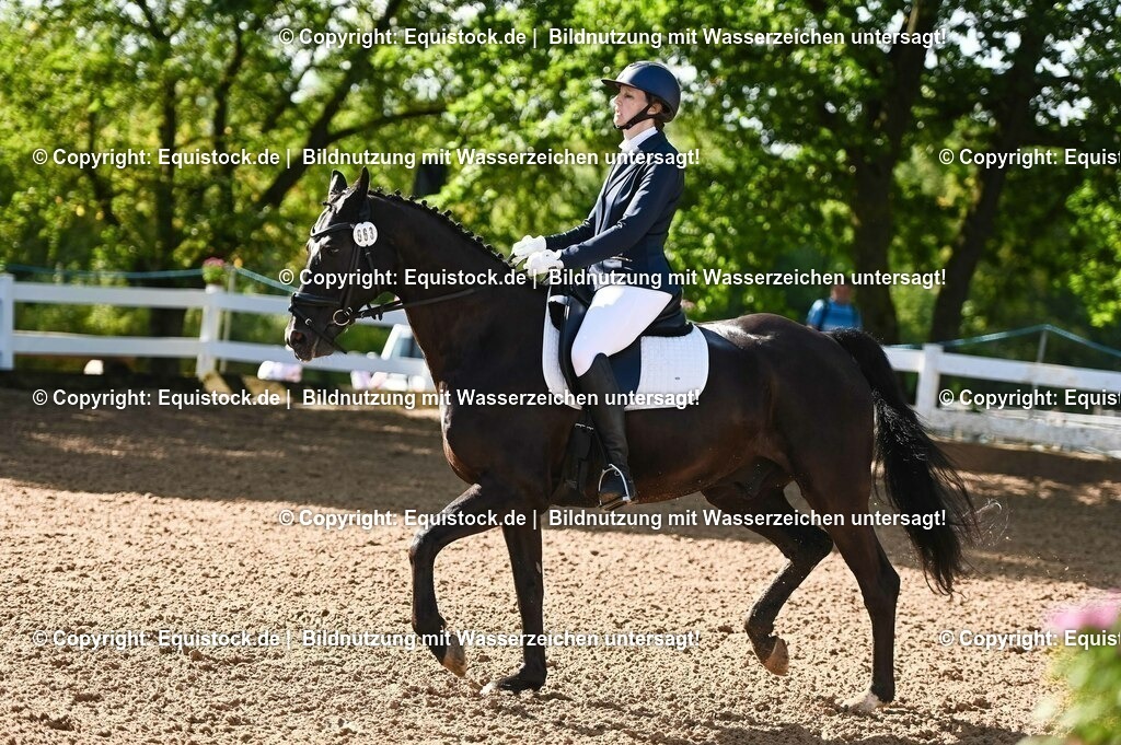 20230716_04_Dressurreiterprüfung Kl.A_0024 | equistock