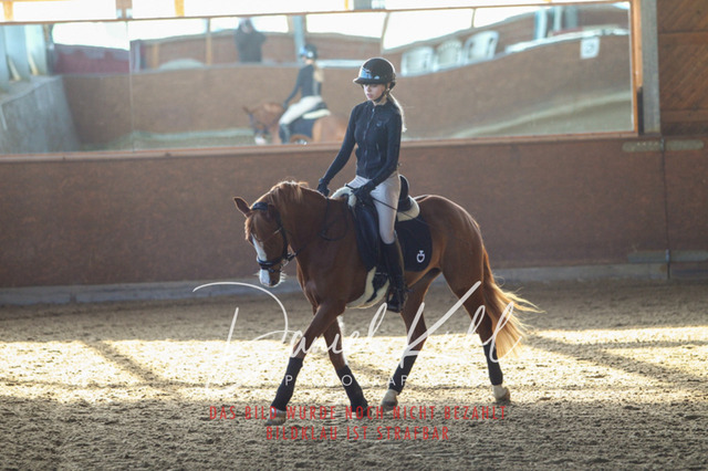 DKP42154 | Turniersportfotografie; Pferdefotografie; Dressurfotografie