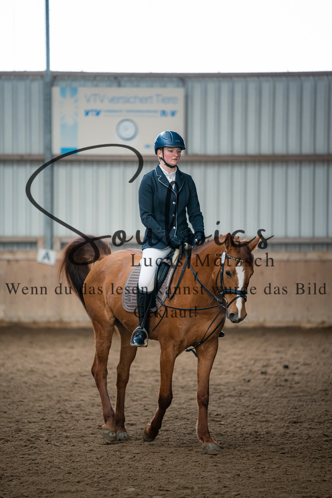 A7V04994 | Pferdefotograf