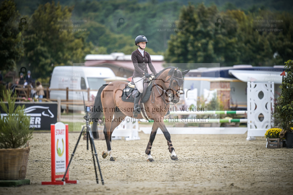 DOS_2471 | Entdecke hochwertige Reitturnierfotos von Foto Oger. Professionell, emotional und authentisch – jetzt Lieblingsmomente im Shop bestellen. - Realisiert mit Pictrs.com