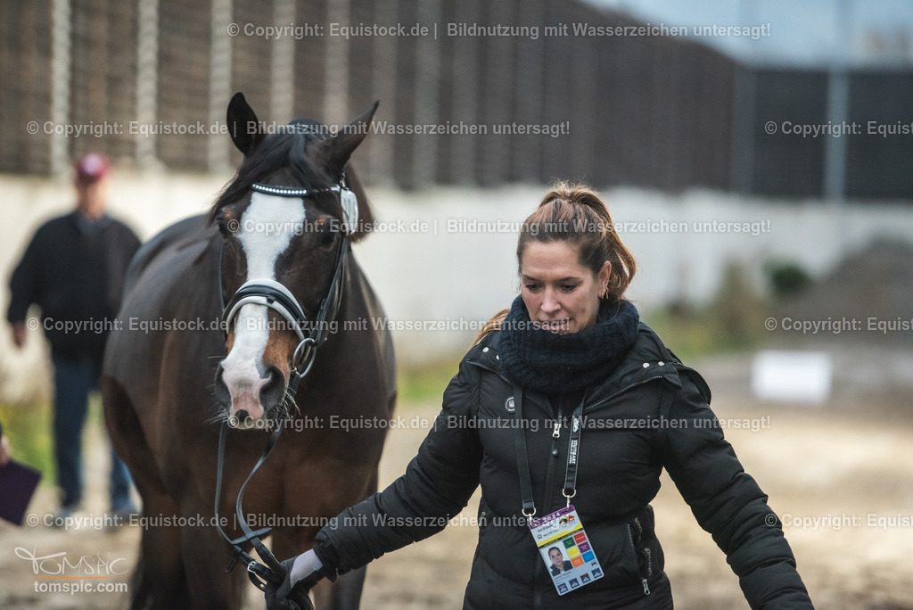 WEB_20241114_Vetcheck_TOMsPiC_0002 | Foto: Thomas Hartig
