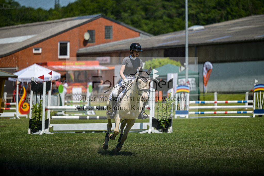 Reitturnier Voxtrup | Entdecke hochwertige Reitturnierfotos von Foto Oger. Professionell, emotional und authentisch – jetzt Lieblingsmomente im Shop bestellen.Deutschlandweite Turnierfotografie. - Realisiert mit Pictrs.com