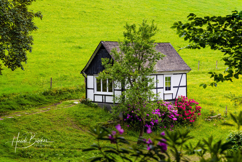 Westfeld und Umgebung 043 | Bilder und Impressionen zu jeder Jahreszeit aus dem Sauerland im Naturpark Sauerland-Rothaargebirge - Realisiert mit Pictrs.com