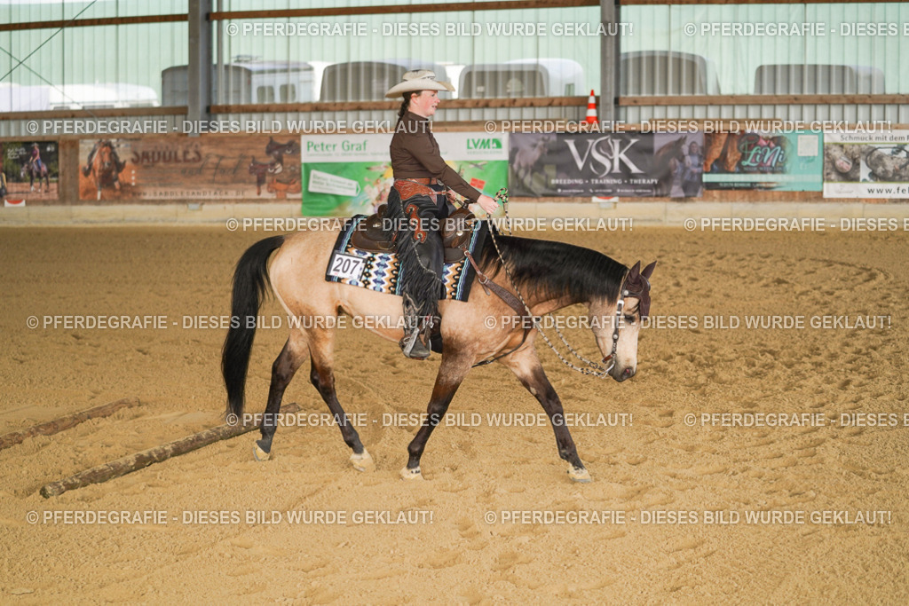 DSC01839 | Pferdegrafie