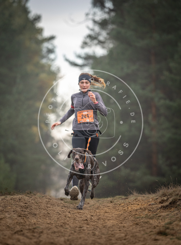 Pfotenfotografie_DV3A5686 | Hundefotografie, Tierfotograf, Pfotenfotografie, Fotoshooting Hund, Hunde Portrait, Hundesport, Hundeportraits, Heideshooting, Hunde, Sportfotograf, Hundefotograf, Turnierhundsport, THS,  - Realisiert mit Pictrs.com