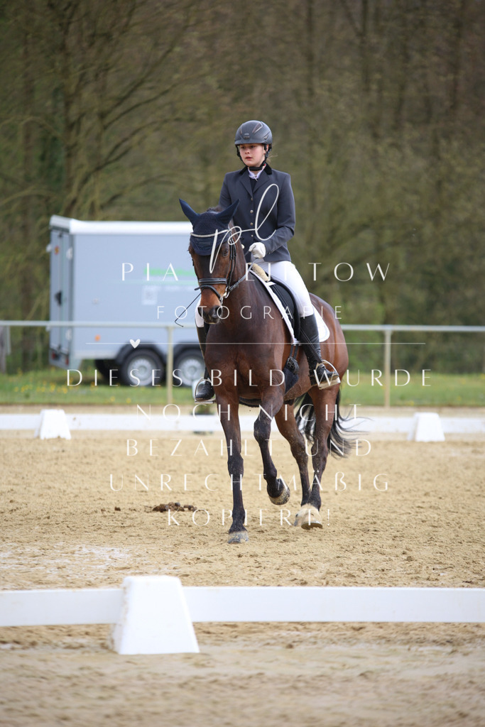 IMGT7254 | pl-fotografie