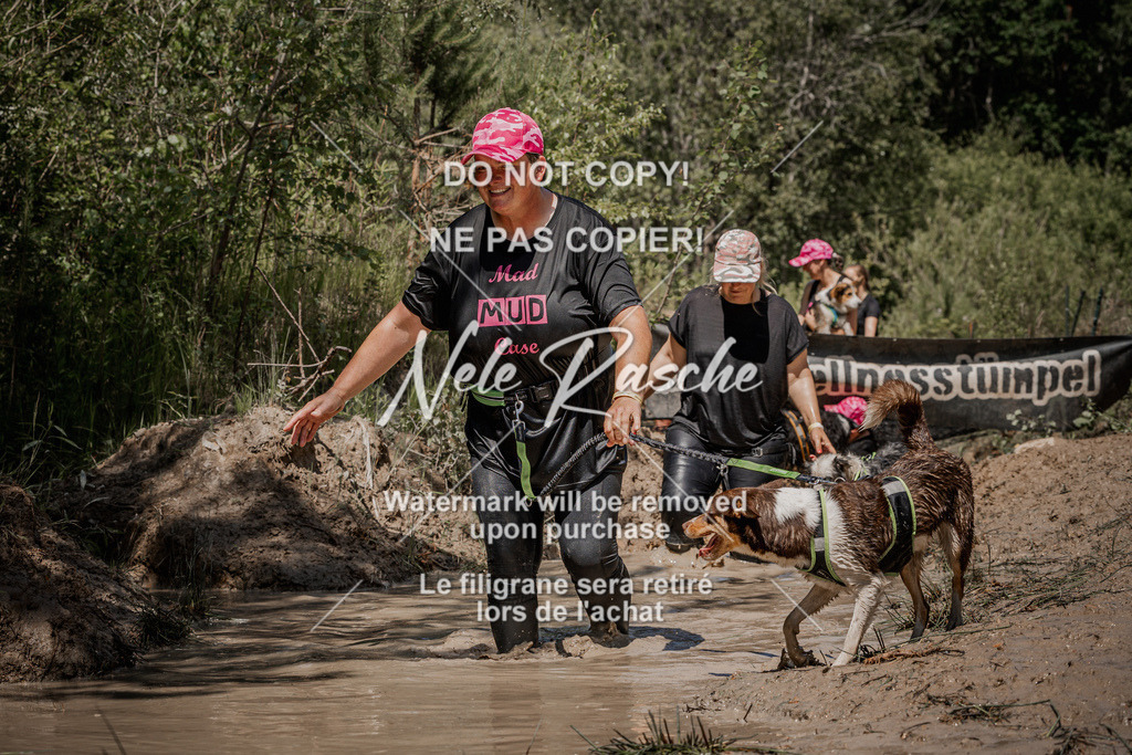 nelerasche_Hoope2026_Sa1300-1330_193 | nelerasche