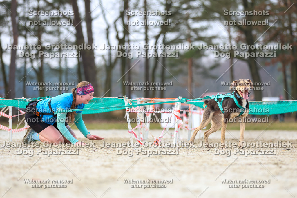 Dog Paparazzi - Strongdog North Mrz26-3867 | Dog Paparazzi Jeanette Grottendiek Fotografie & Videografie - Realisiert mit Pictrs.com