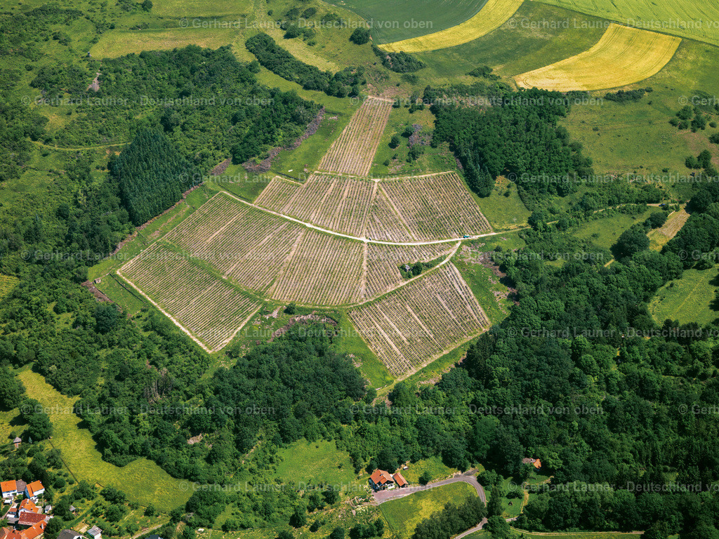 2821985 | Weinberg bei Steingrube