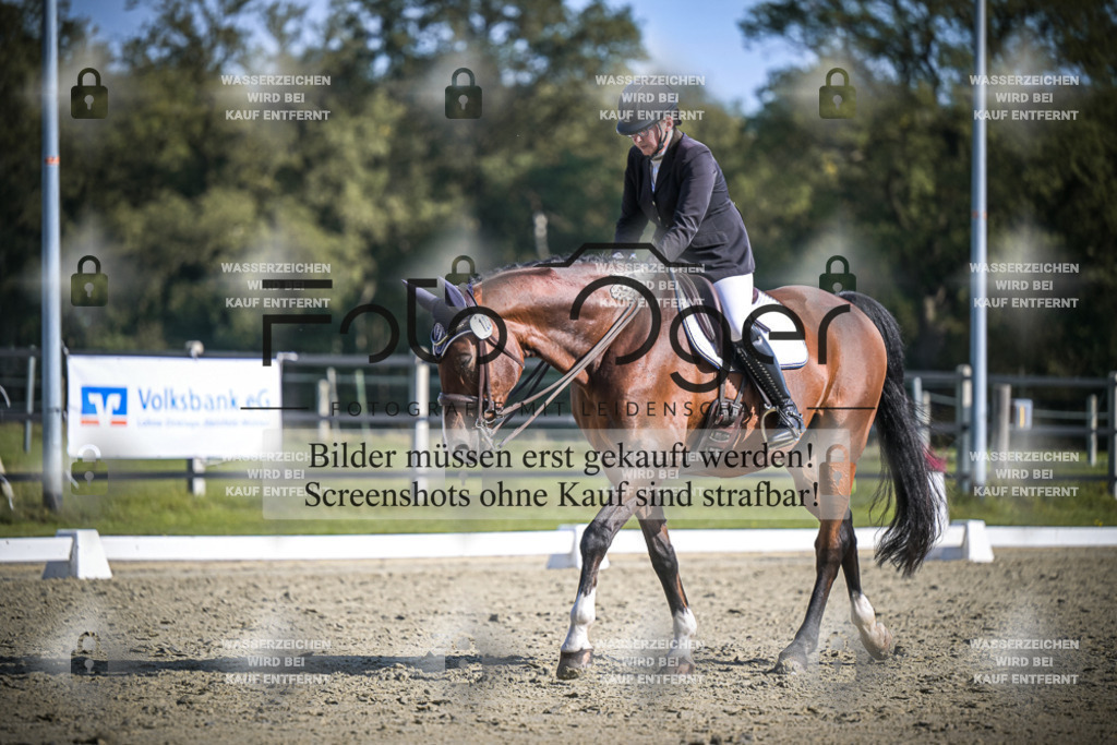DOS_1202 | Entdecke hochwertige Reitturnierfotos von Foto Oger. Professionell, emotional und authentisch – jetzt Lieblingsmomente im Shop bestellen.Deutschlandweite Turnierfotografie. - Realisiert mit Pictrs.com