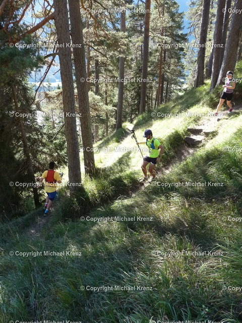 P1020037 | Michael Krenz