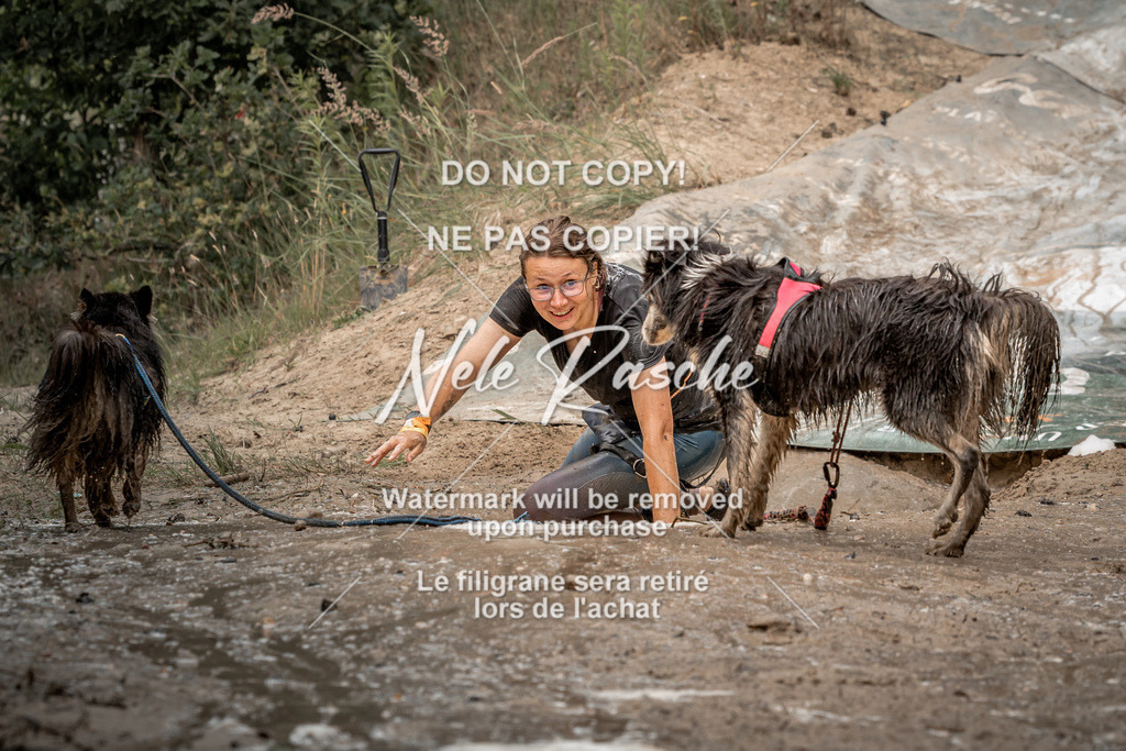 nelerasche_sa1600-1700_503 | nelerasche