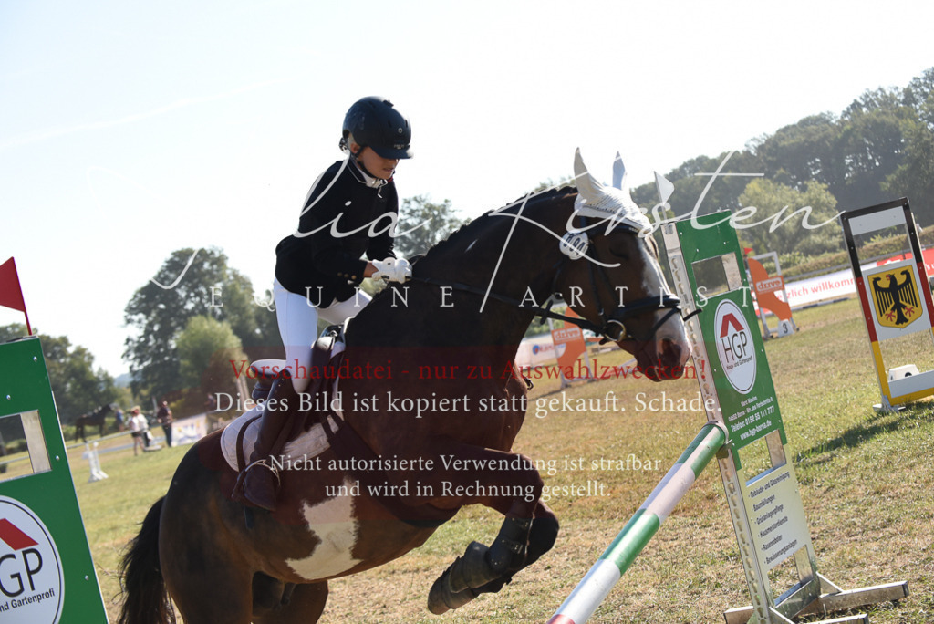 DSC_5740 | Pferde- und Turnierfotografie in Westsachsen. Pferdeportraits, Auftragszeichnungen und intuitive Kunst.