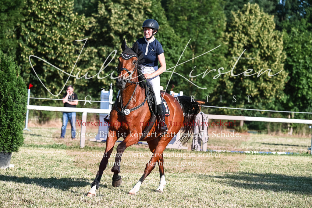 DSC_2692 | Pferde- und Turnierfotografie in Westsachsen. Pferdeportraits, Auftragszeichnungen und intuitive Kunst.