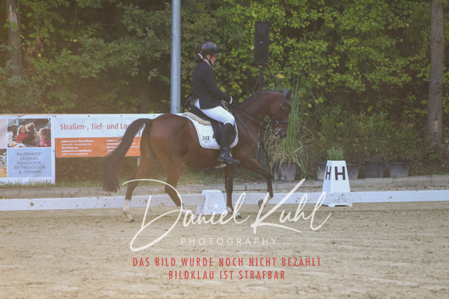 DKP41442 | Turniersportfotografie; Pferdefotografie; Dressurfotografie