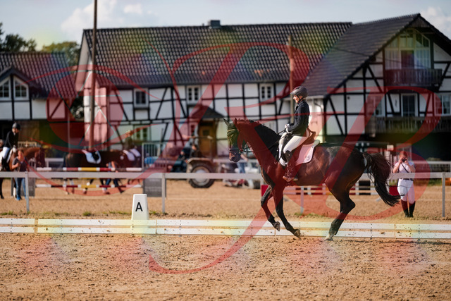 2026_10_03_Siefer-Hof_133656_Z63_98734050 | Professionelle Reitsport-, Turnier- und Eventfotografie von Robert Broda. Galerien mit ausgewählten und bearbeiteten Bildern direkt online ansehen und bestellen.