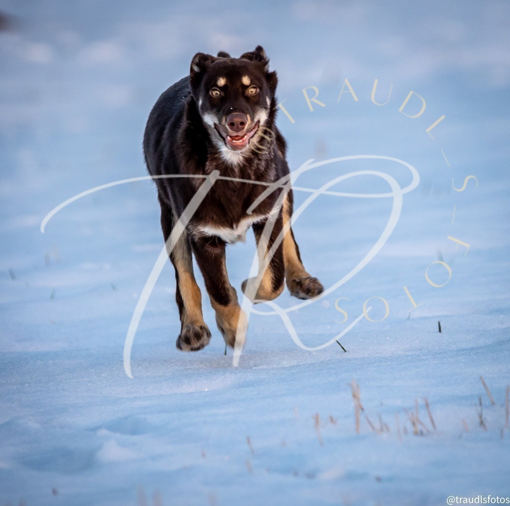 59036655-FC87-43EA-9FE2-3B70A7ACC133 | traudl_s_fotos