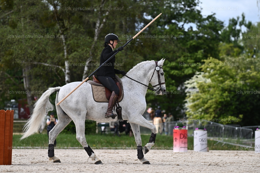 PI26_ST_Sara_Landvogt226_2322.JPG | working equitationturnier fotograf videograf stoibphotography marixx film working equitation deutschland reitsport turnierfotografie eventfotografie equestrian events