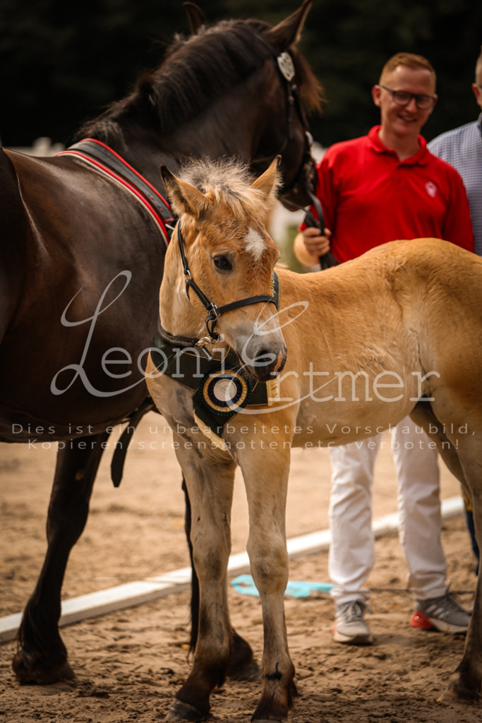 SaSF00155 | Leoni Ertmer Photography - Realisiert mit Pictrs.com