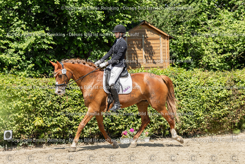 CL5A0218 | Emilia Reinking Fotografie - Realisiert mit Pictrs.com