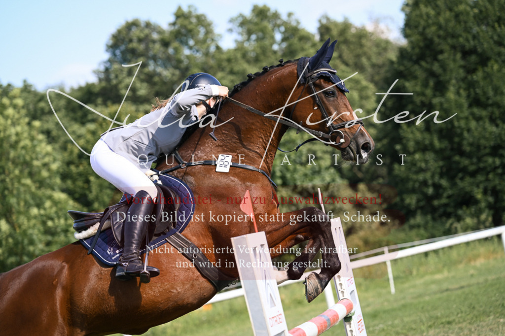DSC_1351 | Pferde- und Turnierfotografie in Westsachsen. Pferdeportraits, Auftragszeichnungen und intuitive Kunst.