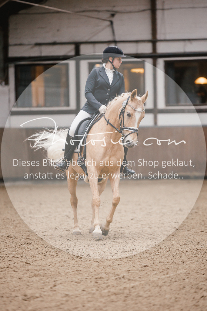 3I6A6228 | Stimmungsvolle Portraits und Reitsportfotografie im Ruhrgebiet und im Münsterland.

Pferdefotografie, Hundefotografie, Tierfotografie, Reportagen, Portraits von Tier und Mensch, Turnierfotografie in Bochum, Recklinghausen, Marl, Haltern am See, Dülmen.. - Realisiert mit Pictrs.com