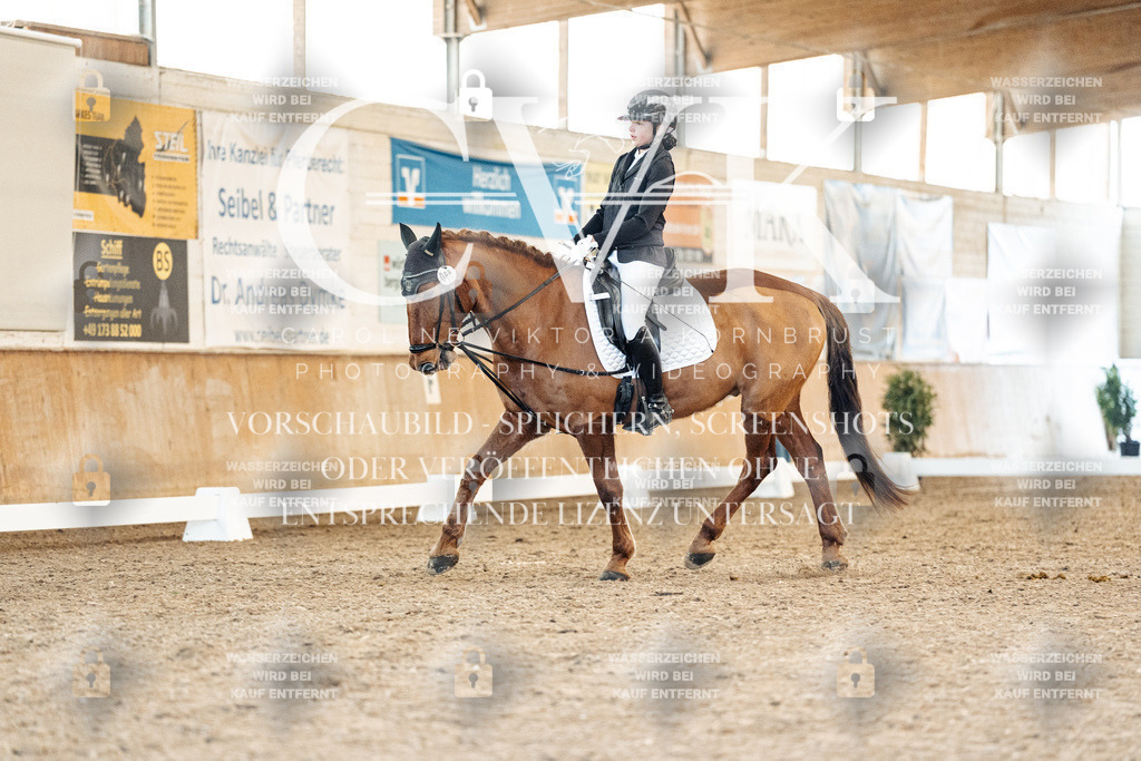 CK907797 | Turnierfotografie Pferdefotografie Trier Rheinland-Pfalz Pferdesport Reitsport Tierfotografie Sportfotografie Pferdevideo Pferdevideografie Equestrianvideography equestrianphotography  - Realisiert mit Pictrs.com