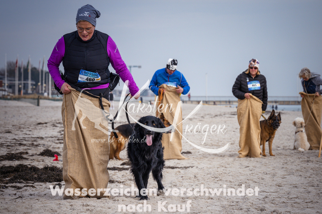 1306_ZZ98521 | kk-dogfotos