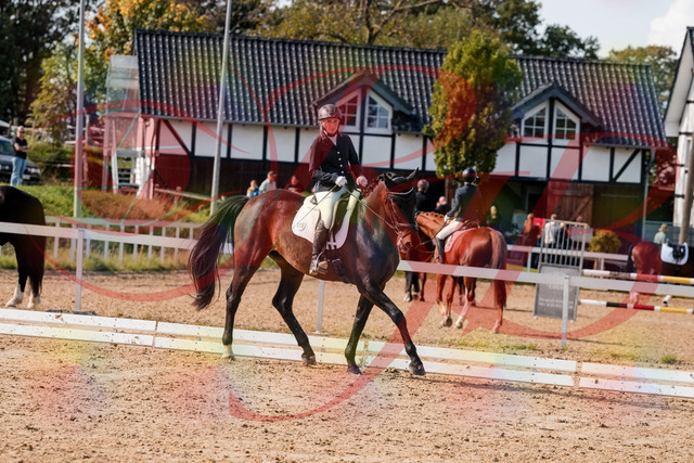 2026_10_03_Siefer-Hof_133402_Z63_92273451 | Professionelle Reitsport-, Turnier- und Eventfotografie von Robert Broda. Galerien mit ausgewählten und bearbeiteten Bildern direkt online ansehen und bestellen.