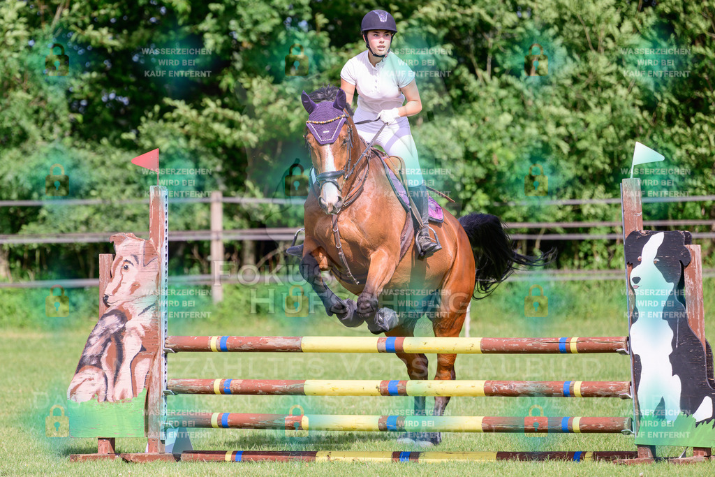 30052026-Forstinning-Prfg20-0063 | Fokus Hufschlag Fotografie - Realisiert mit Pictrs.com