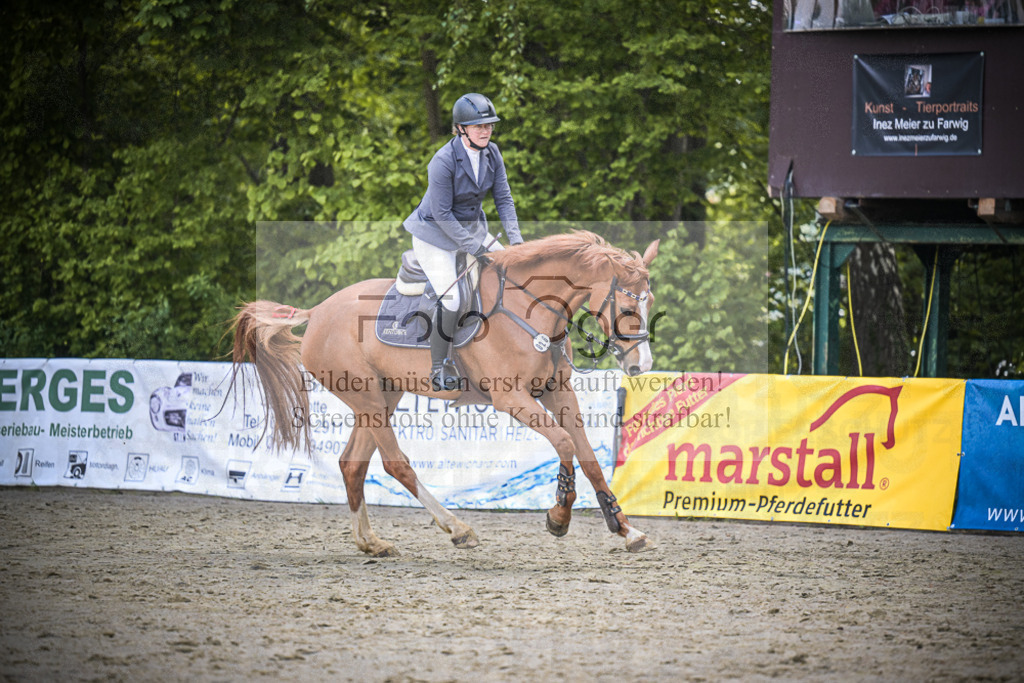 DOS_4571 | Entdecke hochwertige Reitturnierfotos von Foto Oger. Professionell, emotional und authentisch – jetzt Lieblingsmomente im Shop bestellen.Deutschlandweite Turnierfotografie. - Realisiert mit Pictrs.com