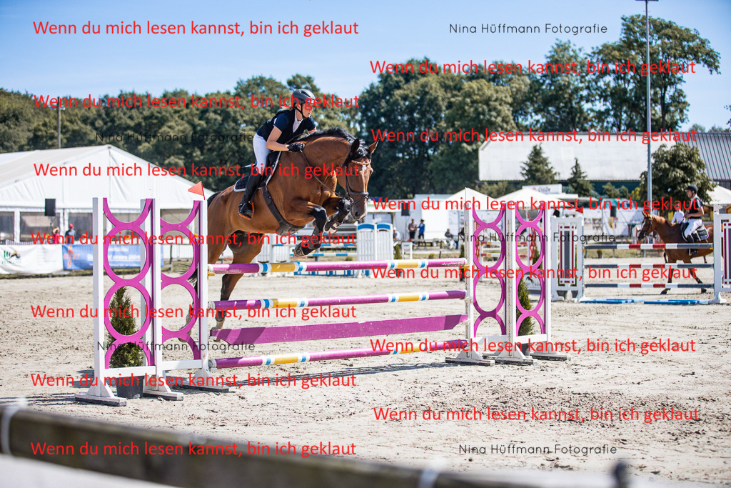 BK1A6387 | Turnierbilder Turnierfotos Nina Hüffmann Turnierfotografie Pferdefotografie Tierzeichnung Haustierzeichnung Pferdezeichnung Hundezeichnung Videograf  - Realisiert mit Pictrs.com