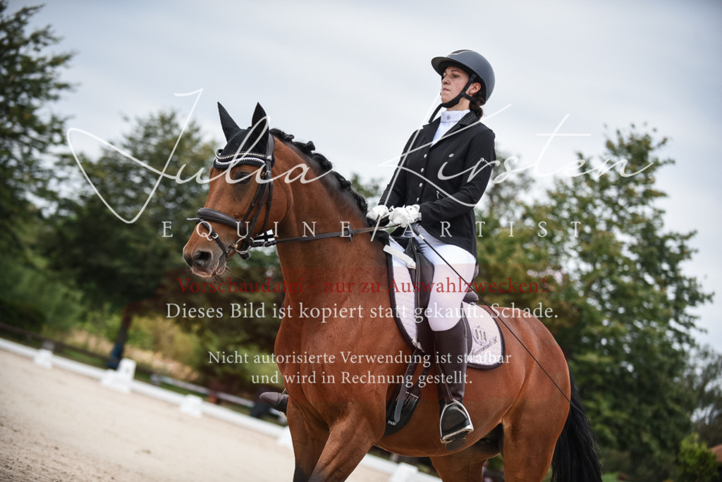 DSC_7950 | Pferde- und Turnierfotografie in Westsachsen. Pferdeportraits, Auftragszeichnungen und intuitive Kunst.