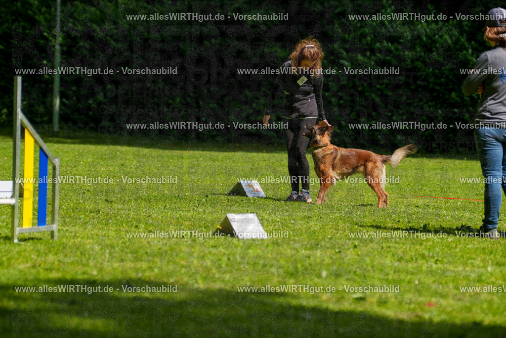 @allesWIRTHgut_Tierfotografie - www.allesWIRTHgut.de - 7R503707 | Professionelle Tierfotografie in Mönchengladbach von Daniel Wirth (allesWIRTHgut). Liebevolle & natürliche Bilder von Hunden & Katzen für unvergessliche Erinnerungen.