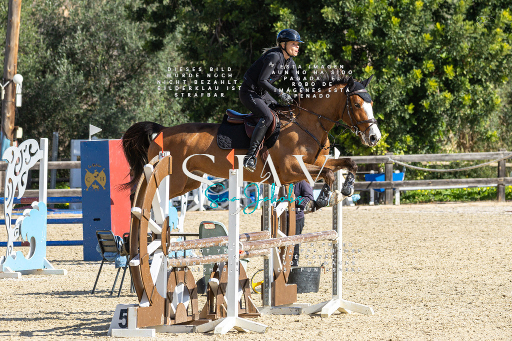 IMG_3856 | s-jay-photography - Realisiert mit Pictrs.com