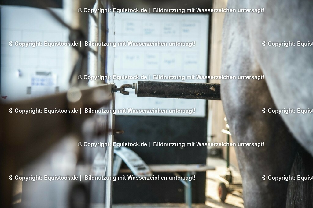 20200118_Laufband_0012 | Foto: Thomas Hartig