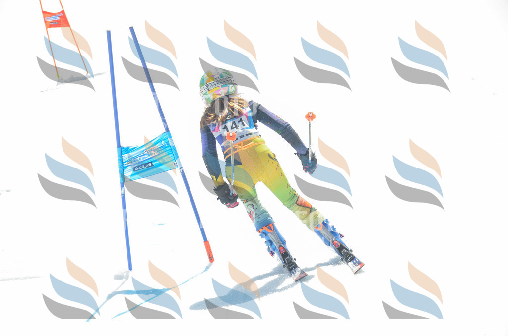 _ELE6230 | holidayphoto