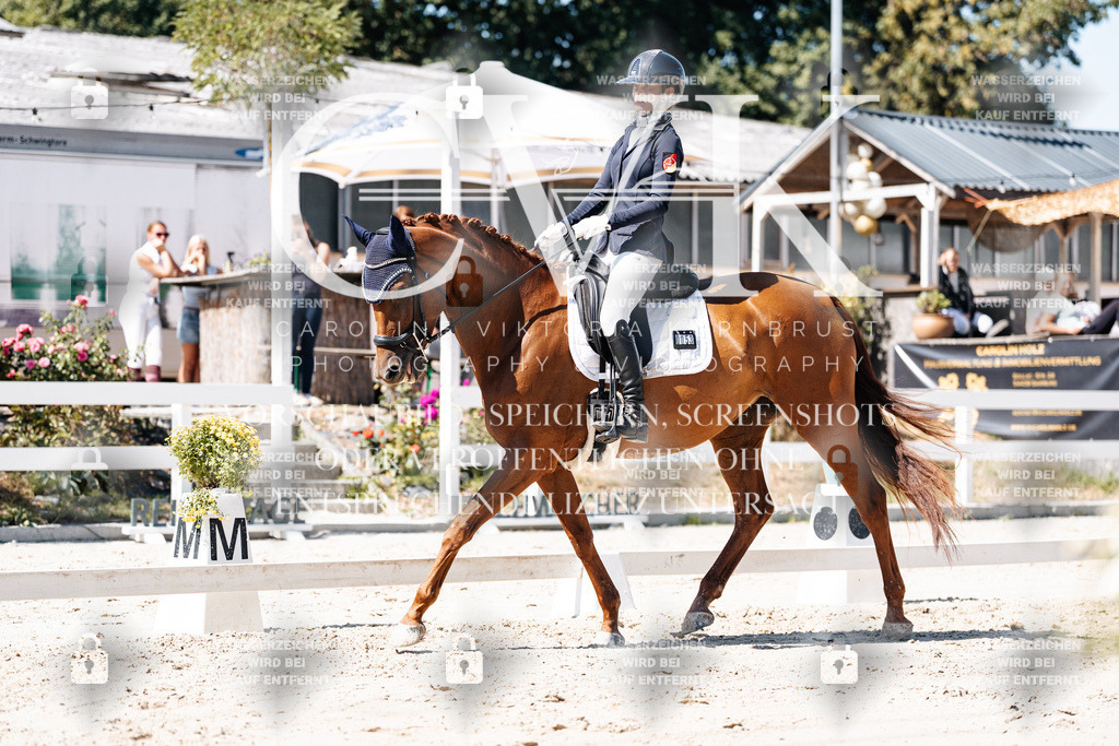 CK909617 | Turnierfotografie Pferdefotografie Trier Rheinland-Pfalz Pferdesport Reitsport Tierfotografie Sportfotografie Pferdevideo Pferdevideografie Equestrianvideography equestrianphotography  - Realisiert mit Pictrs.com
