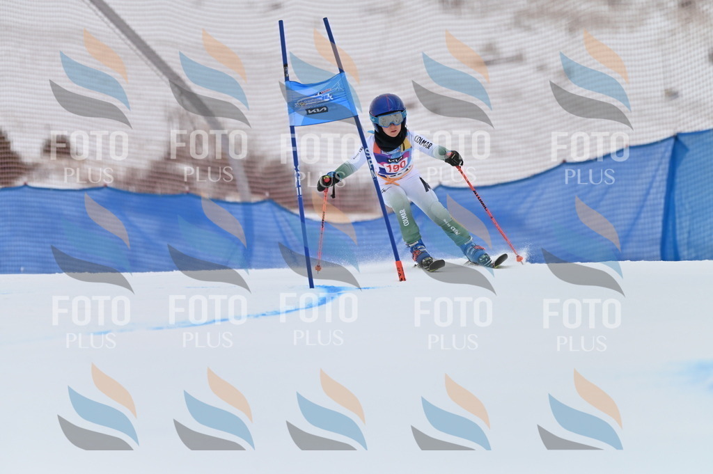 BGV_1409 | holidayphoto